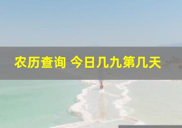 农历查询 今日几九第几天